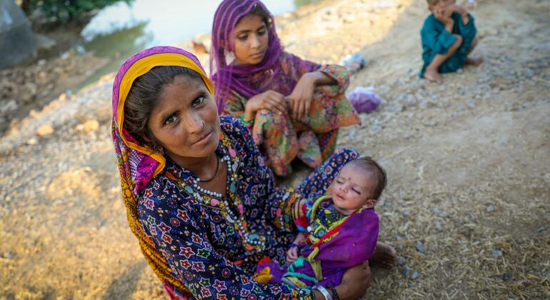 World Report — Research Digest